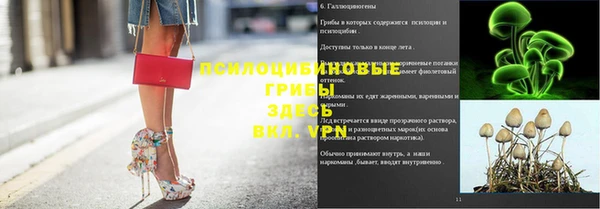ECSTASY Аркадак